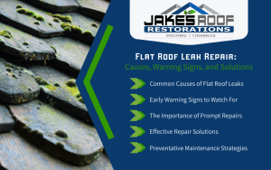 Jake's Roof Restorations graphic on flat roof leak repair with mossy shingles and bullet list of causes, signs, repairs, maintenance